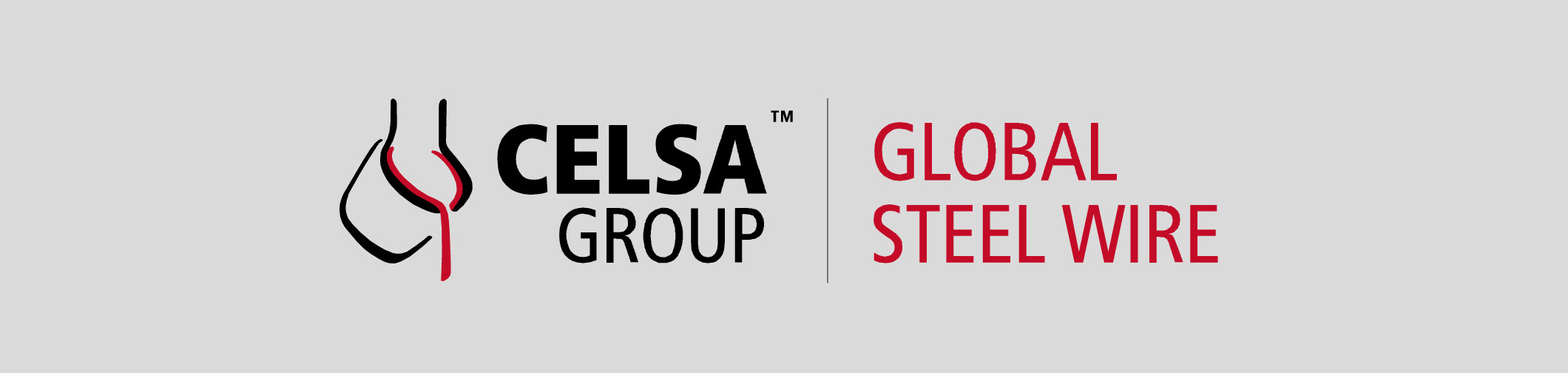 El Administrador Único de GLOBAL STEEL WIRE, S.A. convoca a los accionistas de la Sociedad a la Junta General Ordinaria del ejercicio 2023.